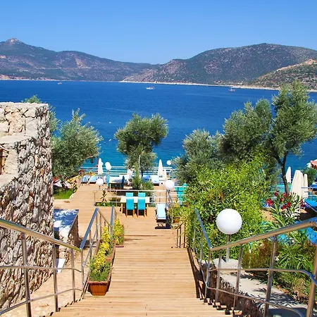 Hotel Cherry Suites *