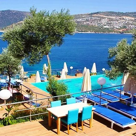 Hotel Cherry Suites *